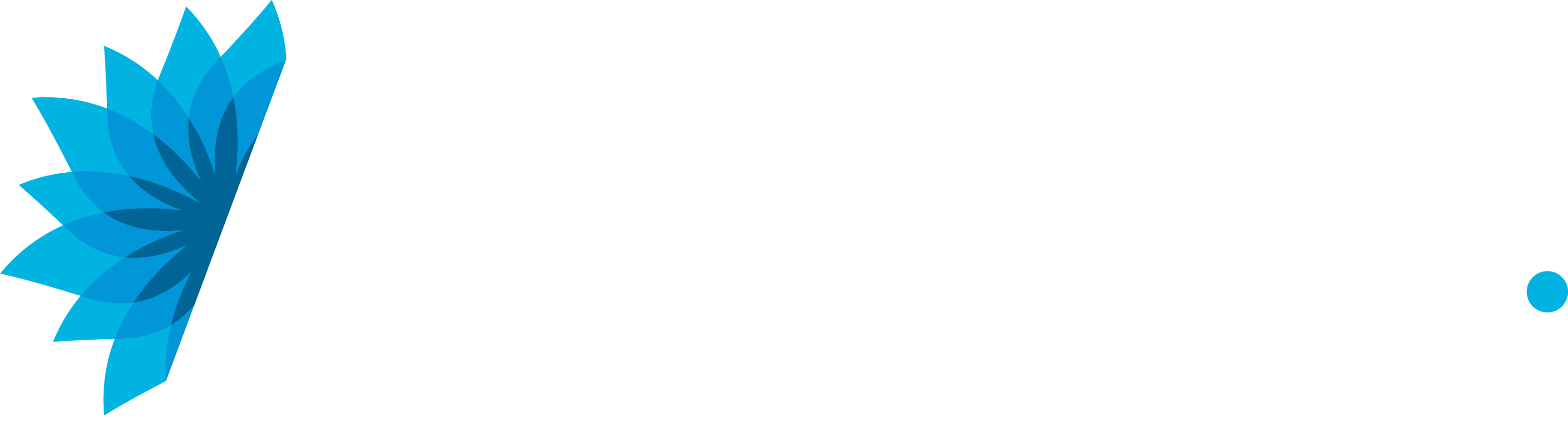 Ambiente Consultoria Empresarial